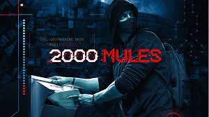 salem.com 2000 mules dvd