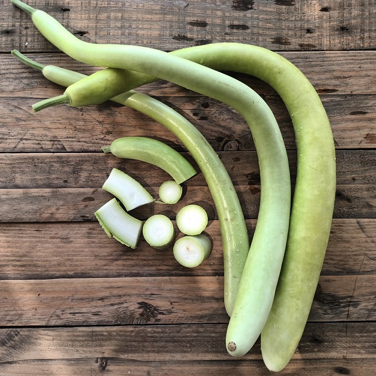 Calabaza Serpiente: Nature’s Unusual Gourd